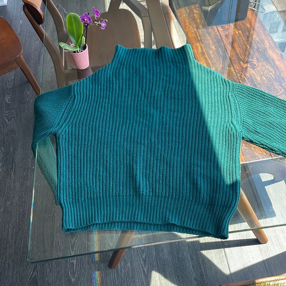 Wilfred Montpellier Turtleneck in Botanical Green Made in Italy